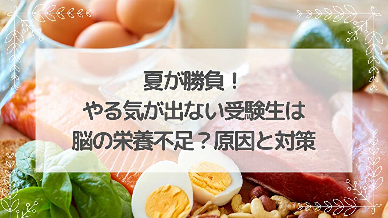 たんぱく質　チロシン　やる気